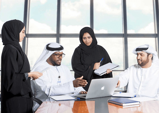 How Can an Emirati Job Portal Help Nationals Find Government Jobs?