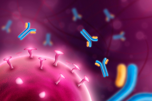 The Indirect Advantage: The Crucial Role of the Human Secondary Antibody