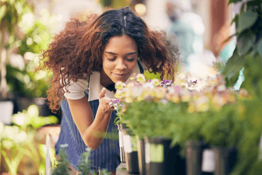 Where to Buy Plants Online in Delhi in 2026: The Complete Guide